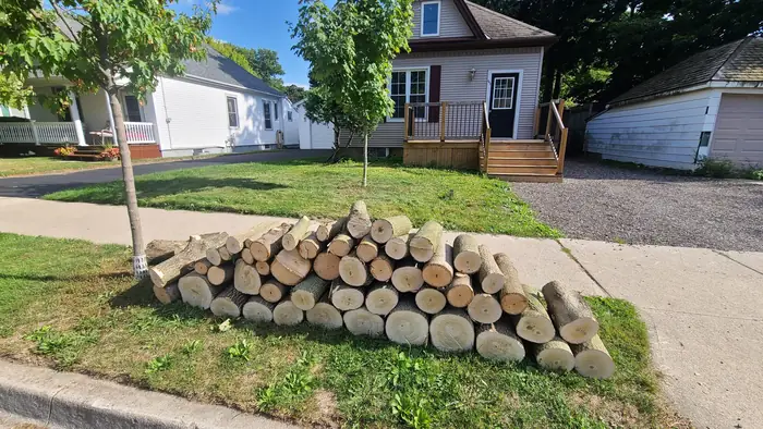 Neatly stacked logs and cleared yard after a tree job