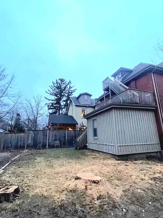 The same backyard cleared after the trees were removed