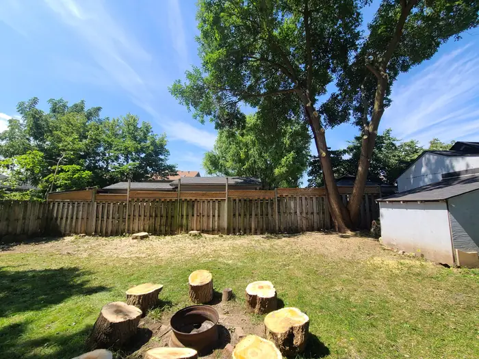 Tree rounds left neatly in a cleaned-up yard